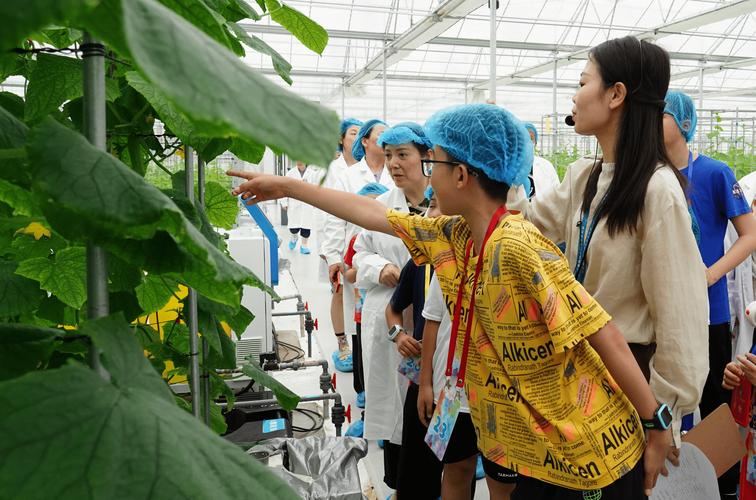 研学旅行的意义及感悟400