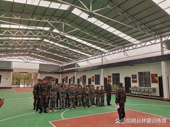 夏冬令营是什么