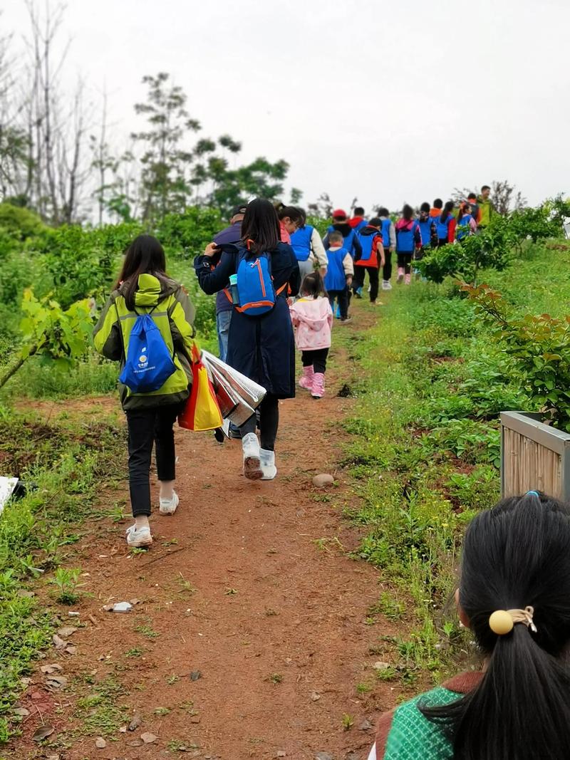 研学旅行见闻 游记作文900字