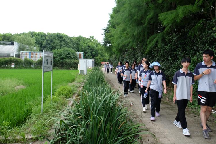 作文研学之旅400字