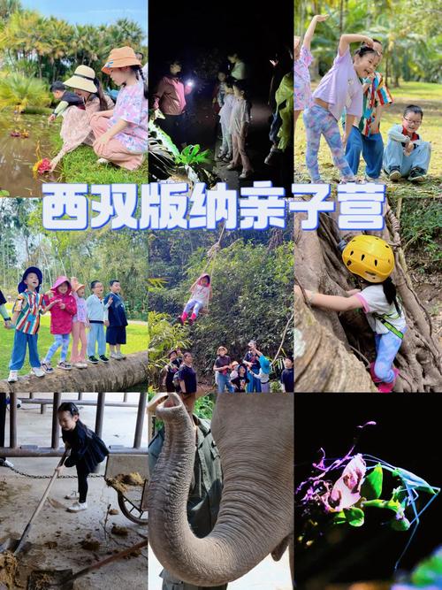 基督徒亲子营会主持词