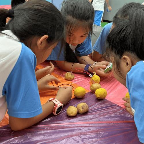 一年级研学收获简单总结