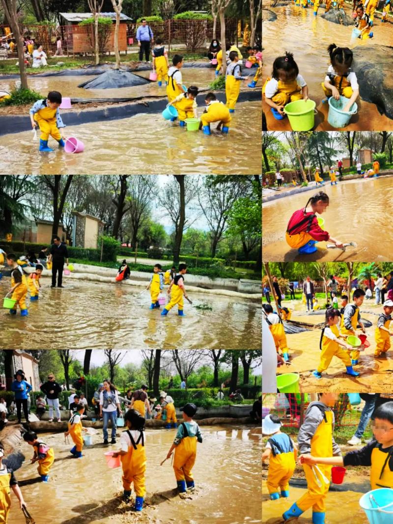 青少年科学调查体验活动的目的是什么?