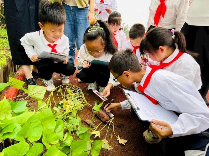 户外英语课堂文案