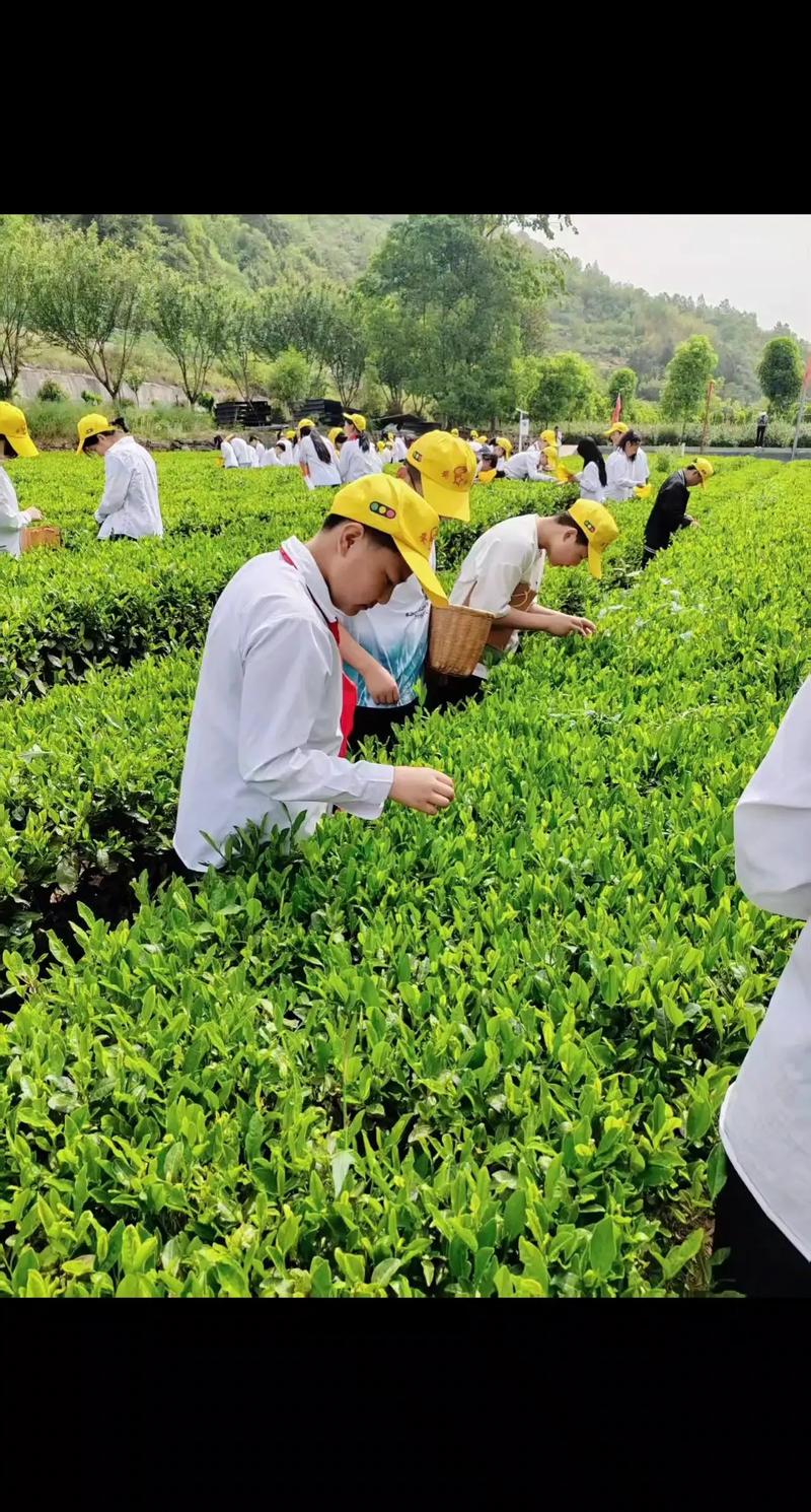 研学活动有哪些意义?