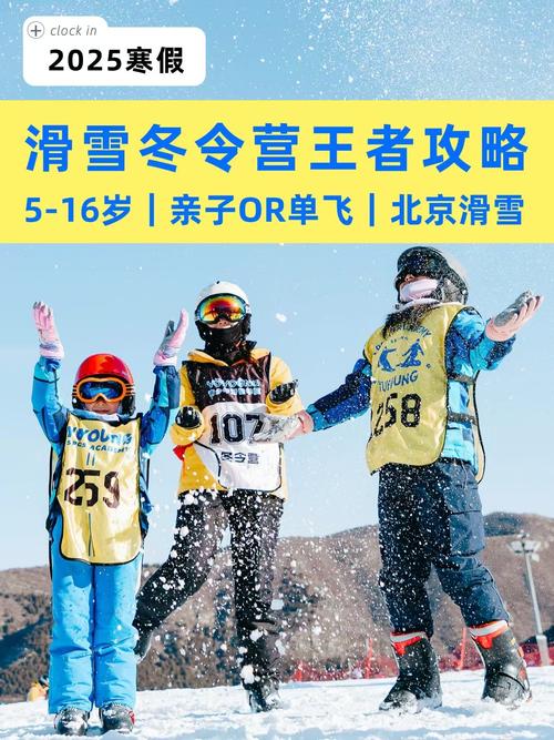 少儿冬令营宣传方法有哪些呢?