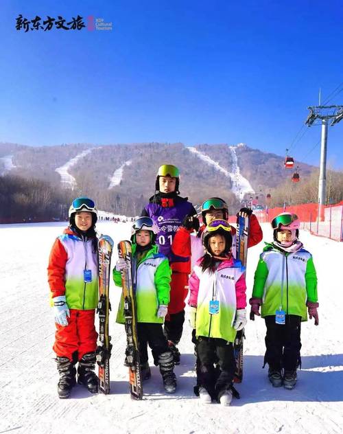 大学夏令营的感受心得体会