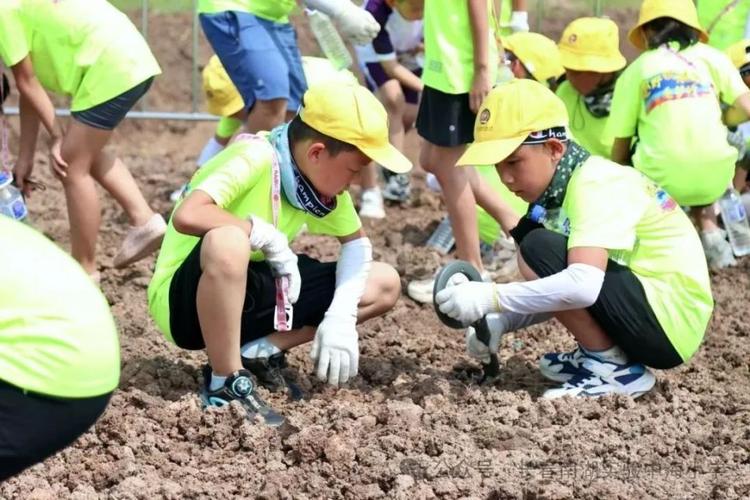 研学营宣传文案